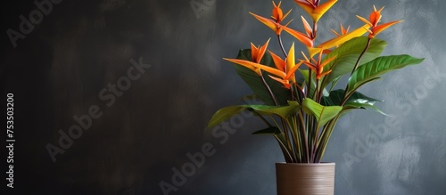 Heliconia plant in a tall brown pot with bright yellow and orange flowers photo