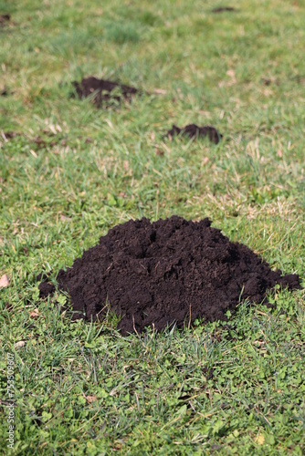 A pile of dirt is on the grass