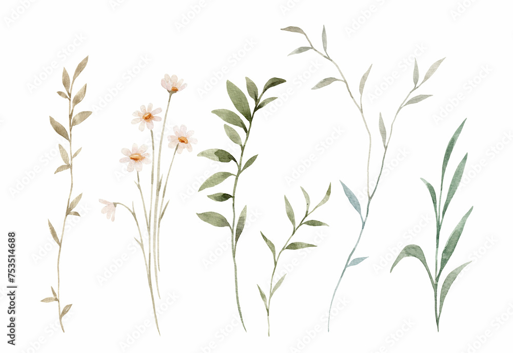 Set with watercolor leaves and flowers. Delicate plants and flowers. Botanical modern illustration. Clip art. Set with watercolor leaves and flowers. Delicate plants and flowers. Botanical modern illustration. Clip art.
