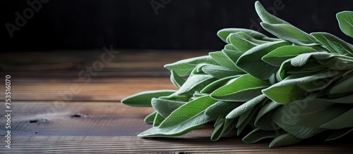 Fragrant Sage Leaves Arrang...