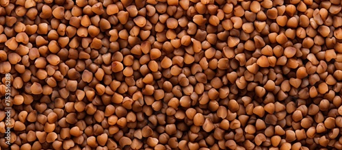 A Pile of Crunchy Peanuts -...