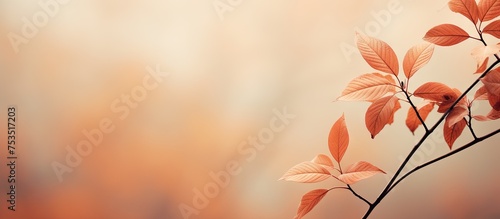 Vibrant Green Leaves on a S...
