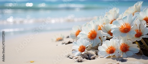 Vivid Bouquet Adorning the ...