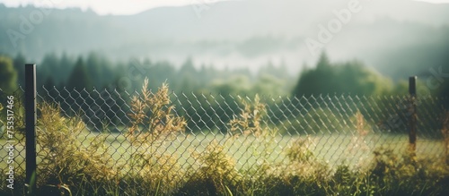 Rustic Wooden Fence Against...