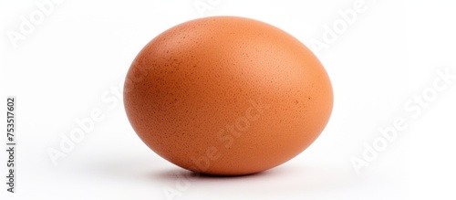 Fresh Organic Brown Egg on ...