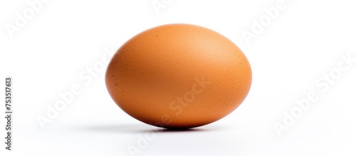 Single Egg Isolated on Clea...