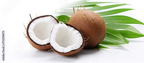 Revitalizing Coconut Oil Ha...