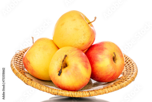 Several yellow apples on a ceramic plate, macro, isolated on a white background.