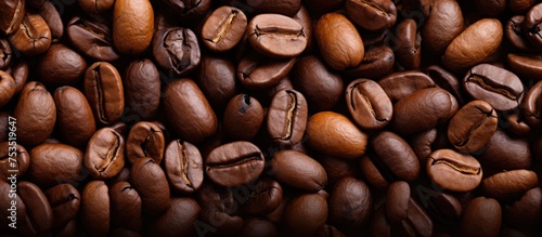 Aromatic Roasted Coffee Bea...