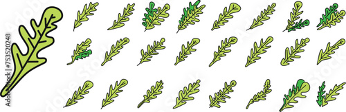 Arugula leaf icons set outline vector. Salad plant. Food agriculture color line isolated