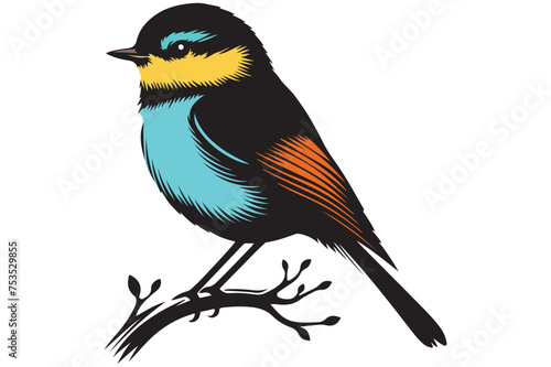 kingfisher on a branch vector illustration  © salek