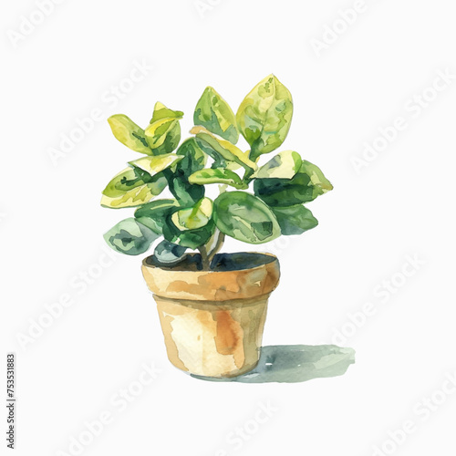 Plants planted in watercolor pots on white background