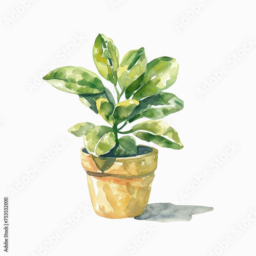 Plants planted in watercolor pots on white background