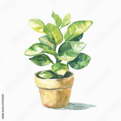 Plants planted in watercolor pots on white background