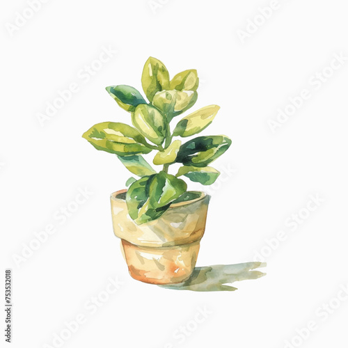 Plants planted in watercolor pots on white background