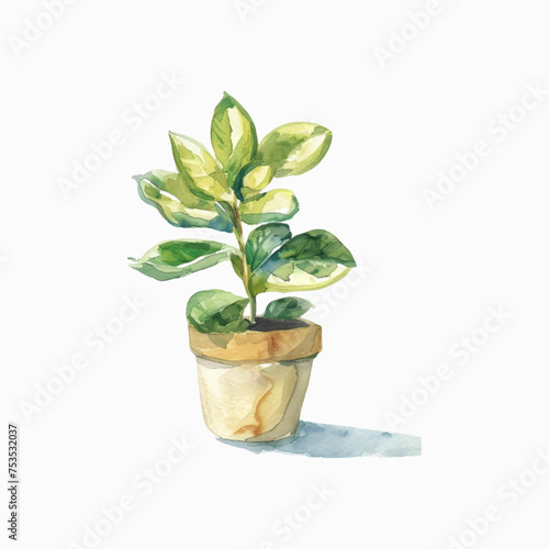 Plants planted in watercolor pots on white background