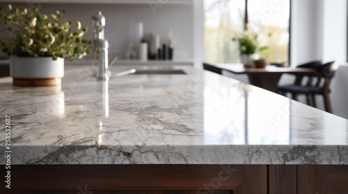 Marble Kitchen Counter with Modern D  cor