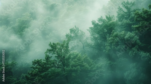 Ethereal forest mist background