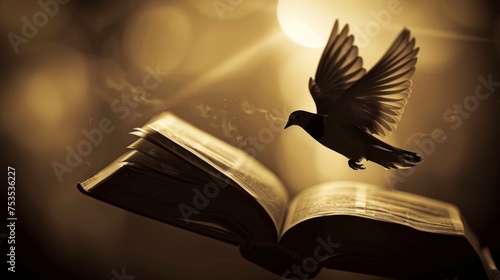 Silhouette of a dove flying over an open Bible © furyon
