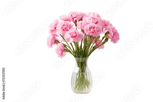 Pink Carnations in White Vase on isolated © Tony A