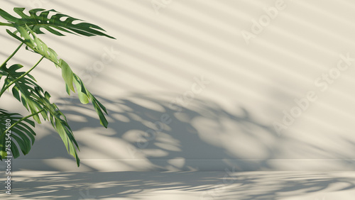 A soft background for product presentation with the shadow of a plant and blinds cast on the wall surrounded by a house plant photo