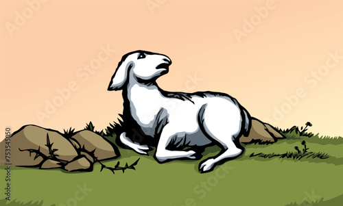 Vector drawing. The sheep got lost in the field
