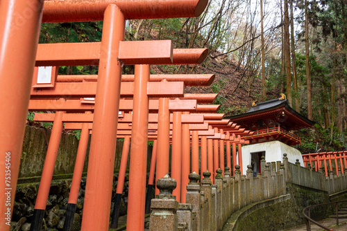 Torii gate on a way to Tanukidanisan Fudoin in Kyoto  Japan