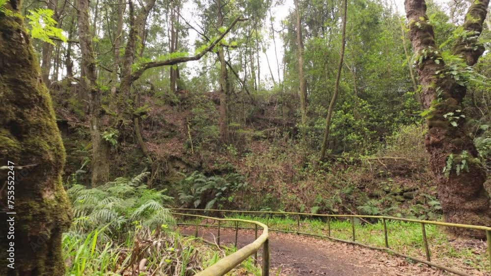 Pov hiking along lush Madeira island levada Hiking trail, Slow motion Pov hiking along lush Madeira island levada Hiking trail, Slow motion