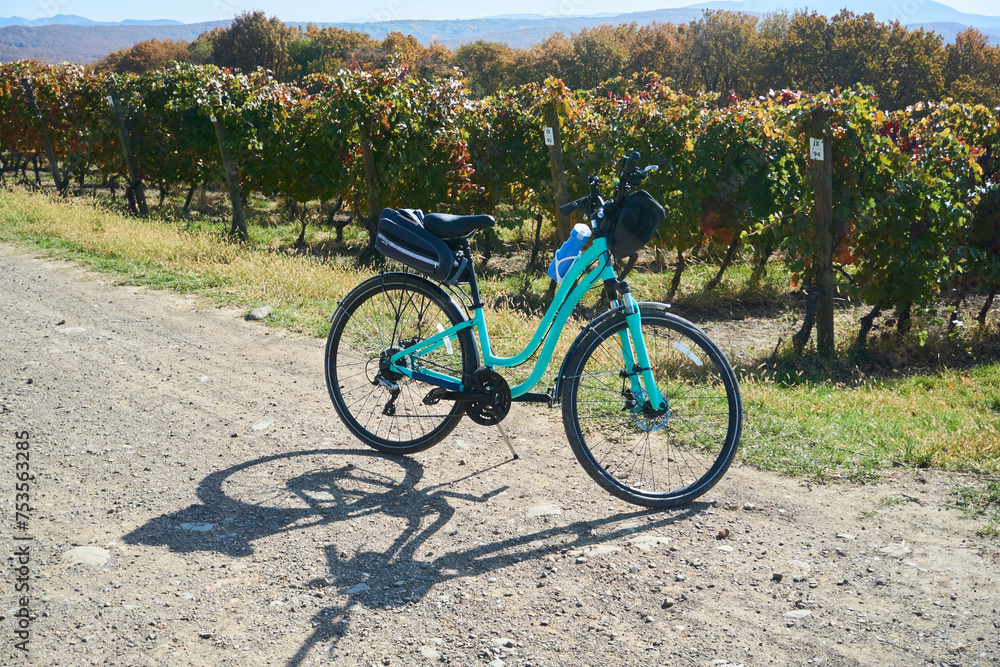 A bicycle with a female frame stands against the background of vineyards. Cycling in the countryside A bicycle with a female frame stands against the background of vineyards. Cycling in the countryside