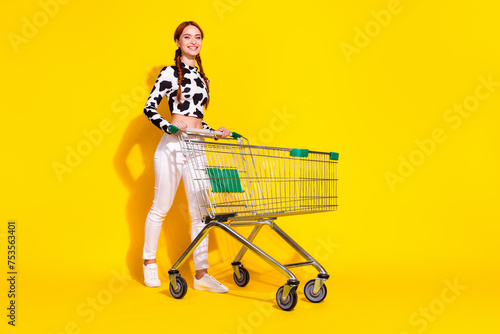 Full length photo of shiny positive woman wear cow skin print top enjoying supermarket shopping empty space isolated yellow color background