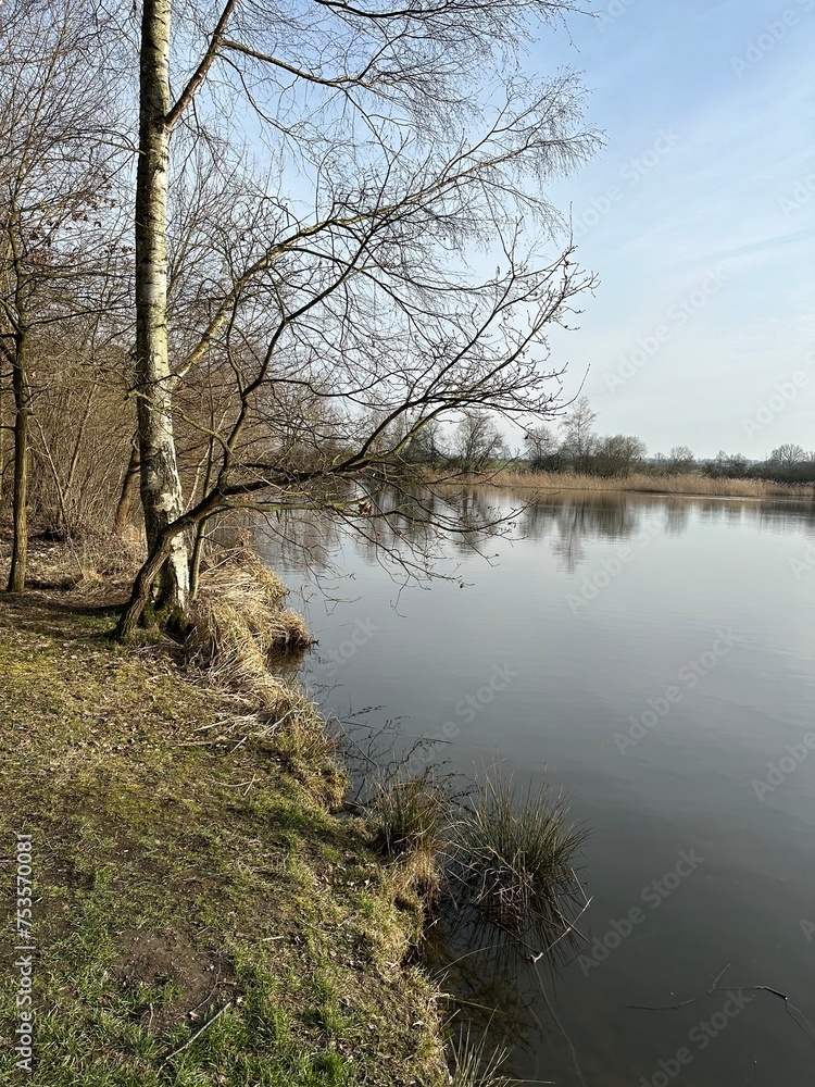 
the bank of a lake in early spring with bare trees  and a blue sky - Natalie Franzensbad
