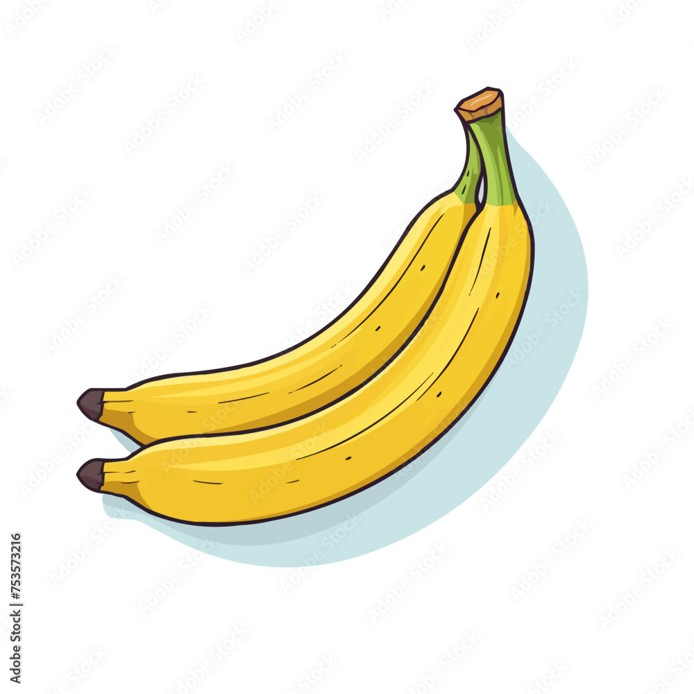 Two bananas are shown on a white background. Vector illustration