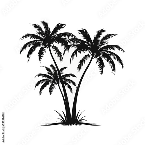 A black and white drawing of a palm tree with three trunks. Vector illustration