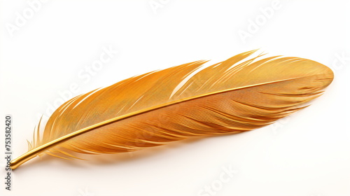 Brown bird feather isolated on a white background