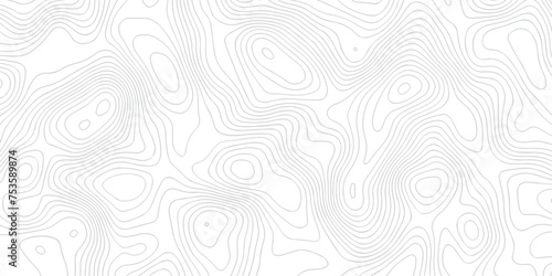 Abstract white topographic map background with lines. Background of the topography map. White wave paper curved reliefs abstract background. The topographic map contour in lines isolated.