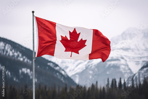 Canadian flag blowing in wind with snow mountains in background