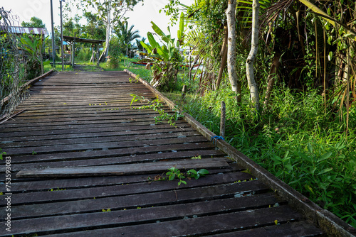 Boardwalk to the Riverside at a Sarawak Borneo Jungle Village Location