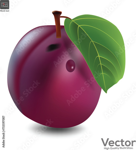 Three different colored and different types of sweet bell peppers (capsicum) and Fresh chilli pepper vector set on white background.