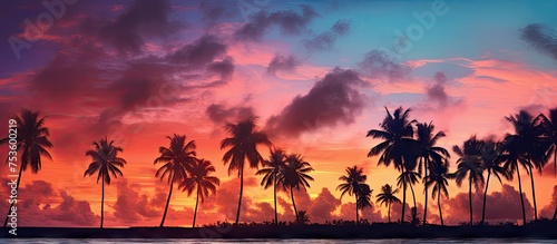 Serenity and Calmness: Majestic Palm Trees Silhouetted Against a Vibrant Sunset Sky