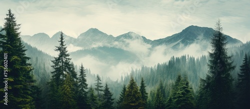 Majestic Mountain Peaks Towering Above a Lush Green Forest Landscape
