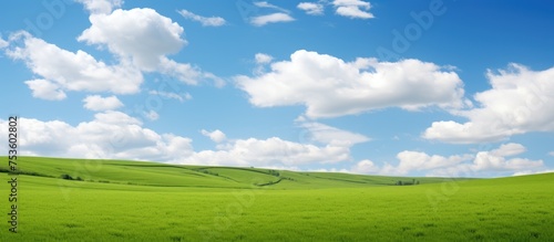 Tranquil Serenity of a Lush Green Field Under a Clear Blue Sky