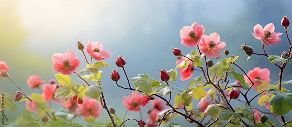 Vibrant Pink Blossoms Adorn a Blossoming Tree in a Delicate Spring Display