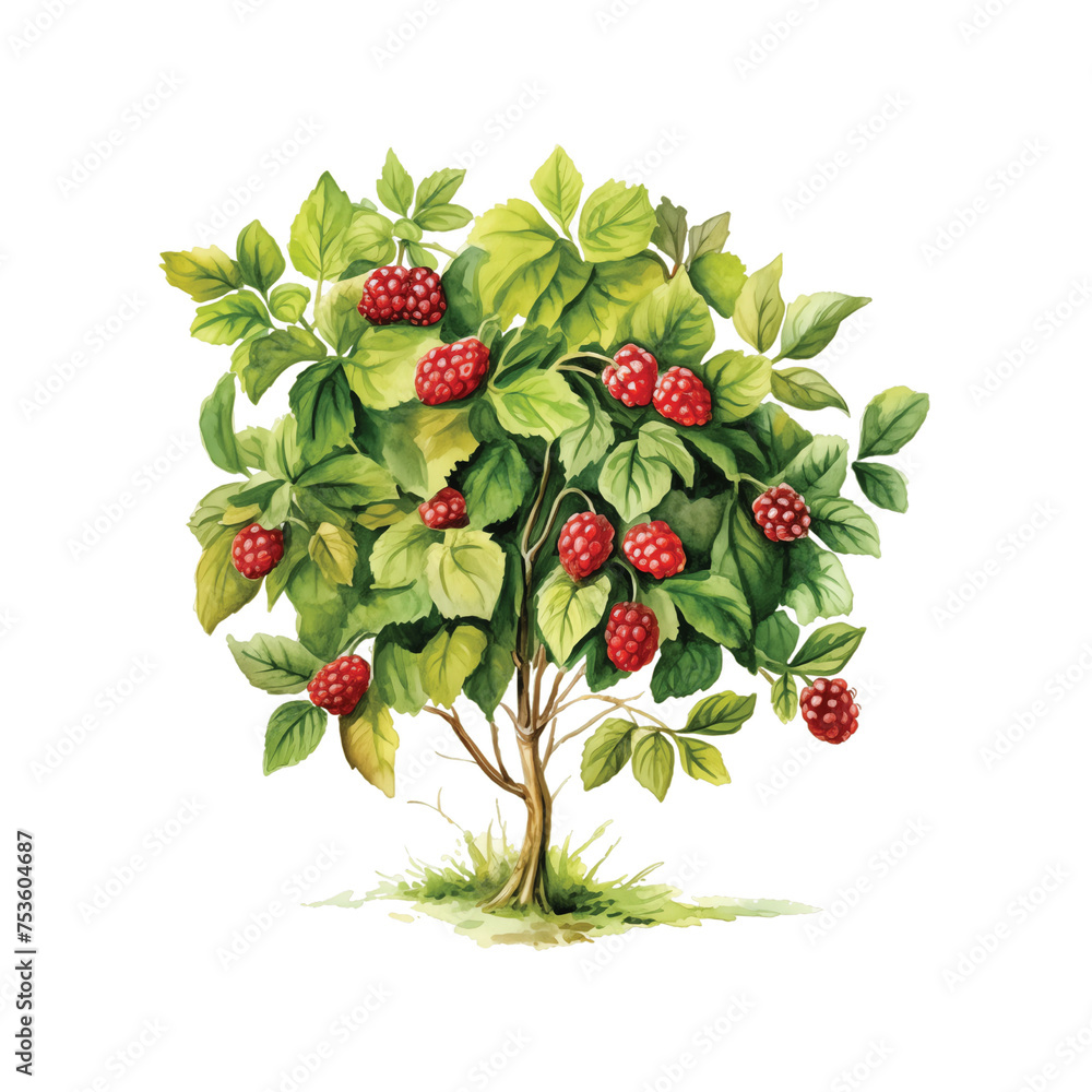 Blackberry green bush with berries generative ai Blackberry green bush with berries generative ai