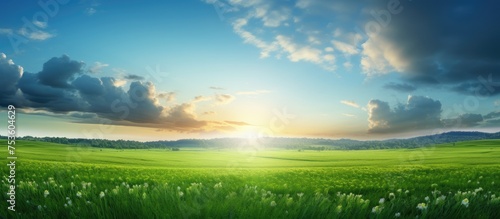 Serene Natural Landscape with Lush Field of Vibrant Green Grass under Clear Blue Sky