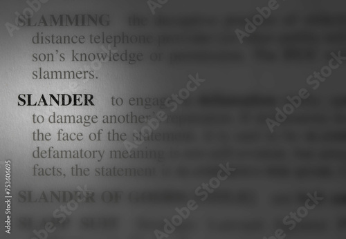 close up photo of the word slander
