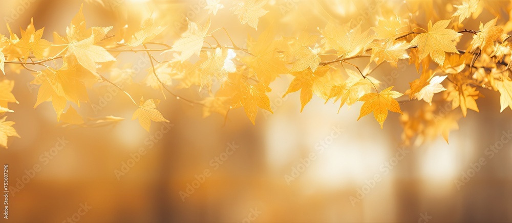 Autumn Vibes: Delicate Yellow Leaves Hanging from Tree Branch in Fall Season