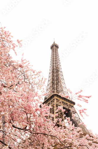 Fototapeta Naklejka Na Ścianę i Meble -  Eiffel Tower from Trocadero at sunrise at spring, Paris, France