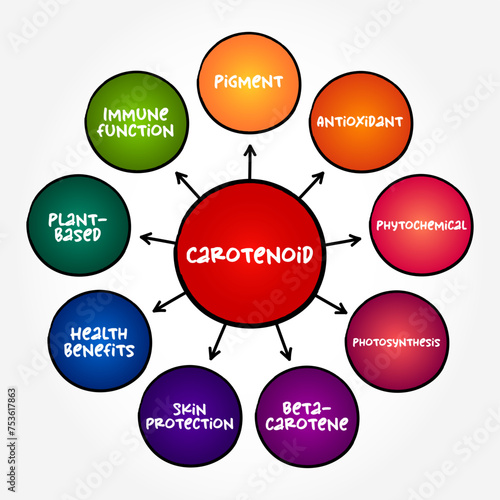Carotenoid - tetraterpene pigments, which exhibit yellow, orange, red and purple colors, mind map text concept background