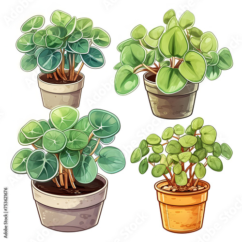 Chinese Money Plant In Pot, Watercolor Illustration