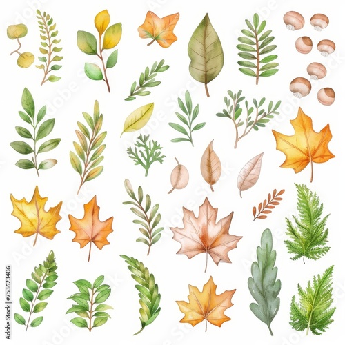 Set of watercolor illustrations of leaves and natural elements